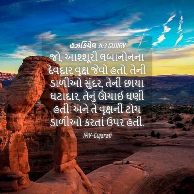 Picture 04 - હઝકિયેલ 31:3 GUJIRV - જો, આશ્શૂરી - Bible Verse Picture