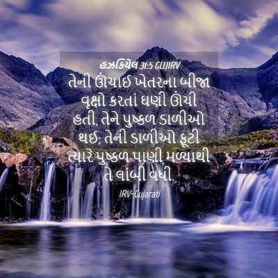 Picture 04 - હઝકિયેલ 31:5 GUJIRV - તેની ઊંચાઈ ખેતરના - Bible Verse Picture