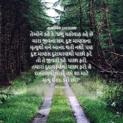 Picture 04 - હઝકિયેલ 33:11 GUJIRV - તેઓને કહે કે, - Bible Verse Picture