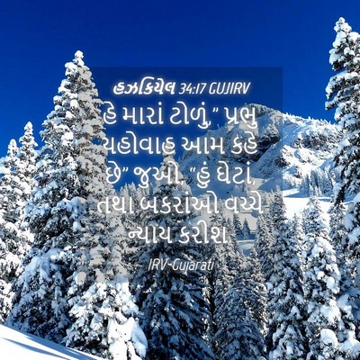 Picture 04 - હઝકિયેલ 34:17 GUJIRV - હે મારાં ટોળું,” - Bible Verse Picture