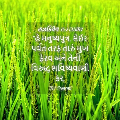 Picture 04 - હઝકિયેલ 35:2 GUJIRV - “હે મનુષ્યપુત્ર, - Bible Verse Picture