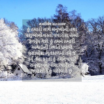 Picture 04 - હઝકિયેલ 36:11 GUJIRV - હું તમારી સાથે - Bible Verse Picture