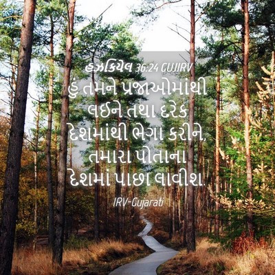 Picture 04 - હઝકિયેલ 36:24 GUJIRV - હું તમને - Bible Verse Picture
