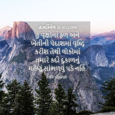 Picture 04 - હઝકિયેલ 36:30 GUJIRV - હું વૃક્ષોનાં ફળ - Bible Verse Picture