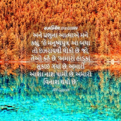 Picture 04 - હઝકિયેલ 37:11 GUJIRV - અને પ્રભુના - Bible Verse Picture