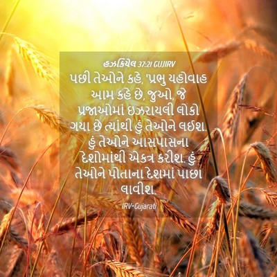Picture 04 - હઝકિયેલ 37:21 GUJIRV - પછી તેઓને કહે, - Bible Verse Picture
