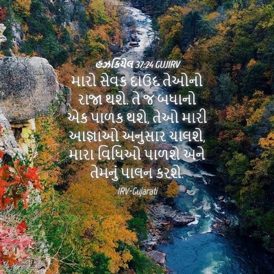 Picture 04 - હઝકિયેલ 37:24 GUJIRV - મારો સેવક દાઉદ - Bible Verse Picture