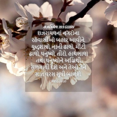 Picture 04 - હઝકિયેલ 39:9 GUJIRV - ઇઝરાયલનાં નગરોના - Bible Verse Picture