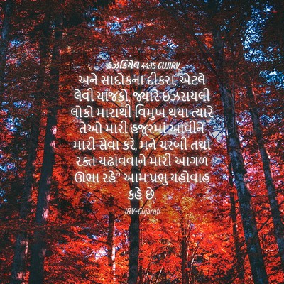 Picture 04 - હઝકિયેલ 44:15 GUJIRV - અને સાદોકના દીકરા, - Bible Verse Picture