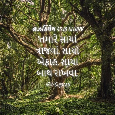 Picture 04 - હઝકિયેલ 45:10 GUJIRV - ‘તમારે સાચાં - Bible Verse Picture