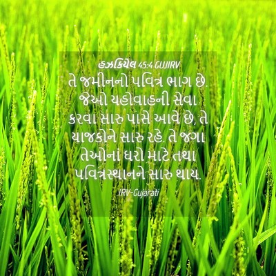 Picture 04 - હઝકિયેલ 45:4 GUJIRV - તે જમીનનો પવિત્ર - Bible Verse Picture
