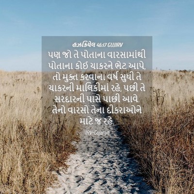 Picture 04 - હઝકિયેલ 46:17 GUJIRV - પણ જો તે પોતાના - Bible Verse Picture