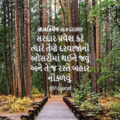 Picture 04 - હઝકિયેલ 46:8 GUJIRV - સરદાર પ્રવેશ કરે - Bible Verse Picture
