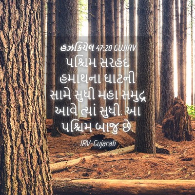 Picture 04 - હઝકિયેલ 47:20 GUJIRV - પશ્ચિમ સરહદ - Bible Verse Picture