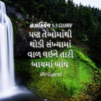 Picture 04 - હઝકિયેલ 5:3 GUJIRV - પણ તેઓમાંથી થોડી - Bible Verse Picture