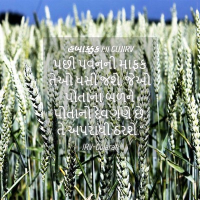 Picture 04 - હબાક્કુક 1:11 GUJIRV - પછી પવનની માફક તેઓ - Bible Verse Picture