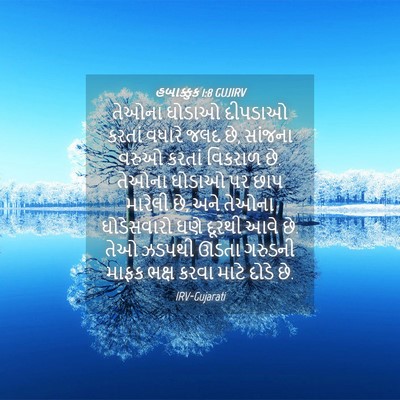 Picture 04 - હબાક્કુક 1:8 GUJIRV - તેઓના ઘોડાઓ - Bible Verse Picture