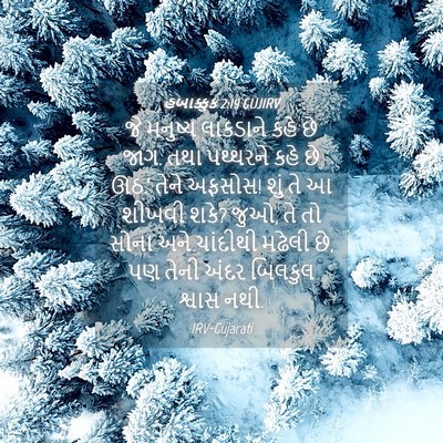 Picture 04 - હબાક્કુક 2:19 GUJIRV - જે મનુષ્ય લાકડાને - Bible Verse Picture