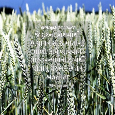 Picture 04 - હબાક્કુક 2:9 GUJIRV - જે દુષ્ટના - Bible Verse Picture