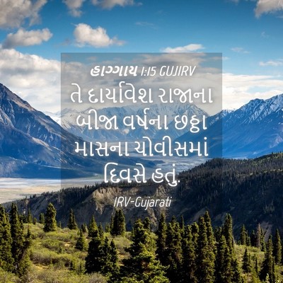 Picture 04 - હાગ્ગાય 1:15 GUJIRV - તે દાર્યાવેશ - Bible Verse Picture