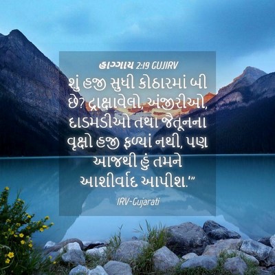 Picture 04 - હાગ્ગાય 2:19 GUJIRV - શું હજી સુધી - Bible Verse Picture