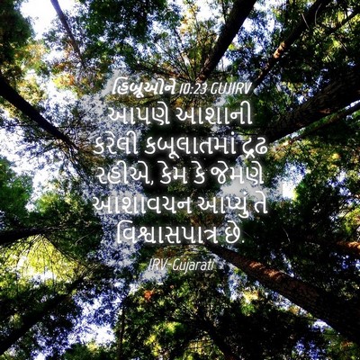 Picture 04 - હિબ્રૂઓને 10:23 GUJIRV - આપણે આશાની કરેલી - Bible Verse Picture