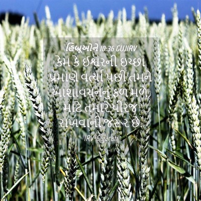 Picture 04 - હિબ્રૂઓને 10:36 GUJIRV - કેમ કે ઈશ્વરની - Bible Verse Picture