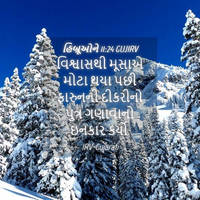 Picture 04 - હિબ્રૂઓને 11:24 GUJIRV - વિશ્વાસથી મૂસાએ - Bible Verse Picture