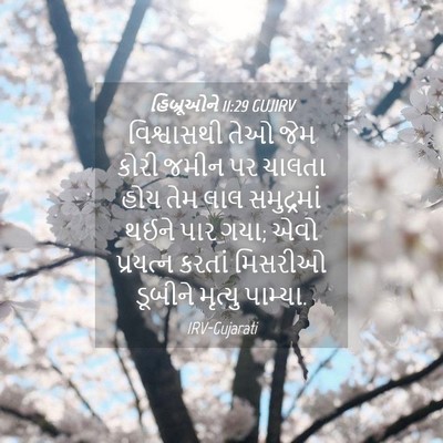 Picture 04 - હિબ્રૂઓને 11:29 GUJIRV - વિશ્વાસથી તેઓ જેમ - Bible Verse Picture