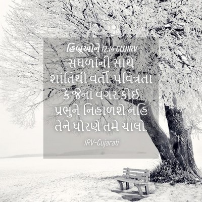Picture 04 - હિબ્રૂઓને 12:14 GUJIRV - સઘળાંની સાથે - Bible Verse Picture