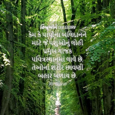 Picture 04 - હિબ્રૂઓને 13:11 GUJIRV - કેમ કે પાપોના - Bible Verse Picture
