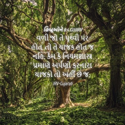 Picture 04 - હિબ્રૂઓને 8:4 GUJIRV - વળી જો તે પૃથ્વી પર - Bible Verse Picture