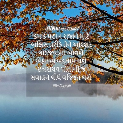 Picture 04 - હોશિયા 10:6 GUJIRV - કેમ કે મહાન રાજાને - Bible Verse Picture