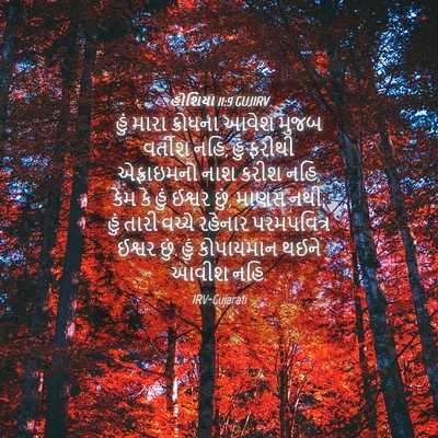Picture 04 - હોશિયા 11:9 GUJIRV - હું મારા ક્રોધના - Bible Verse Picture