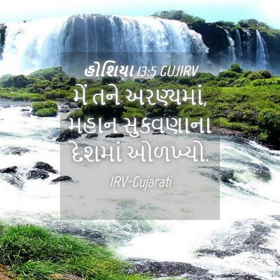 Picture 04 - હોશિયા 13:5 GUJIRV - મેં તને અરણ્યમાં, - Bible Verse Picture