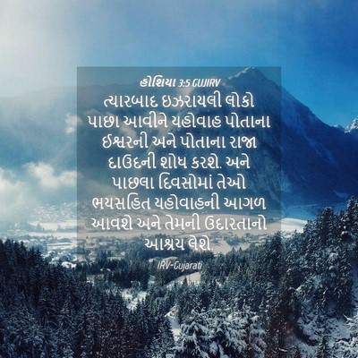 Picture 04 - હોશિયા 3:5 GUJIRV - ત્યારબાદ ઇઝરાયલી - Bible Verse Picture