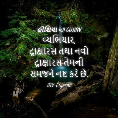 Picture 04 - હોશિયા 4:11 GUJIRV - વ્યભિચાર, - Bible Verse Picture