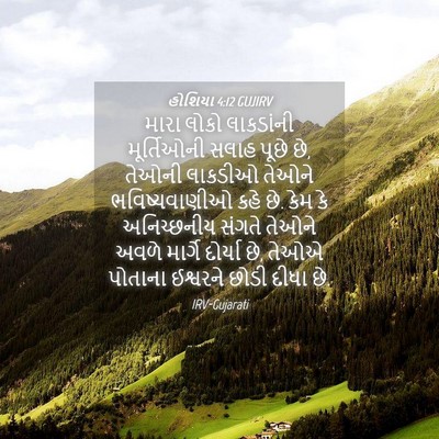 Picture 04 - હોશિયા 4:12 GUJIRV - મારા લોકો - Bible Verse Picture
