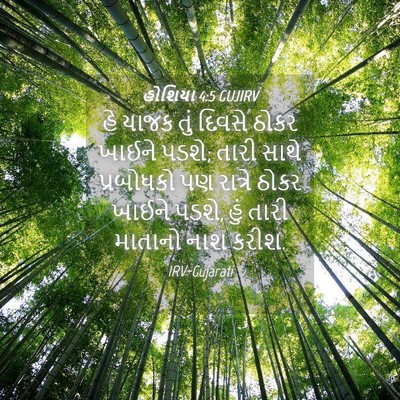 Picture 04 - હોશિયા 4:5 GUJIRV - હે યાજક તું દિવસે - Bible Verse Picture