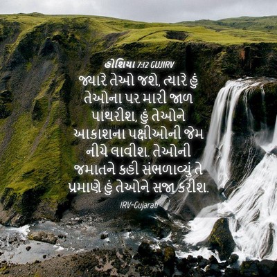 Picture 04 - હોશિયા 7:12 GUJIRV - જ્યારે તેઓ જશે, - Bible Verse Picture