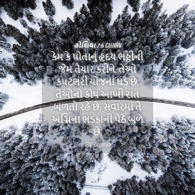 Picture 04 - હોશિયા 7:6 GUJIRV - કેમ કે પોતાનું - Bible Verse Picture