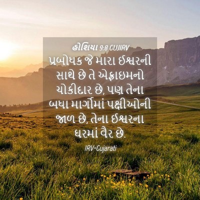 Picture 04 - હોશિયા 9:8 GUJIRV - પ્રબોધક જે મારા - Bible Verse Picture
