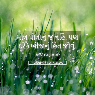 Picture 05 - 1 કરિંથીઓને 10:24 GUJIRV - માત્ર પોતાનું જ - Bible Verse Picture