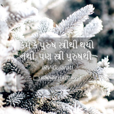 Picture 05 - 1 કરિંથીઓને 11:8 GUJIRV - કેમ કે પુરુષ - Bible Verse Picture