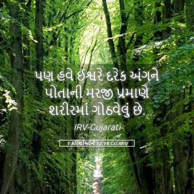 Picture 05 - 1 કરિંથીઓને 12:18 GUJIRV - પણ હવે ઈશ્વરે દરેક - Bible Verse Picture