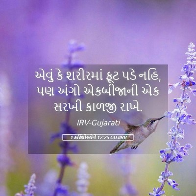 Picture 05 - 1 કરિંથીઓને 12:25 GUJIRV - એવું કે શરીરમાં - Bible Verse Picture