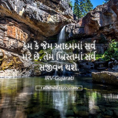 Picture 05 - 1 કરિંથીઓને 15:22 GUJIRV - કેમ કે જેમ આદમમાં - Bible Verse Picture