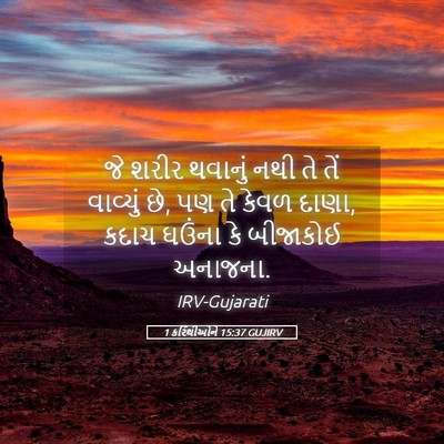 Picture 05 - 1 કરિંથીઓને 15:37 GUJIRV - જે શરીર થવાનું નથી - Bible Verse Picture
