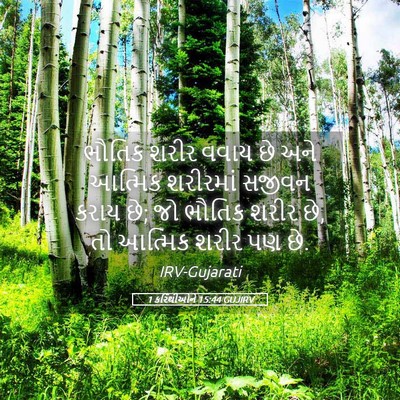 Picture 05 - 1 કરિંથીઓને 15:44 GUJIRV - ભૌતિક શરીર વવાય છે - Bible Verse Picture