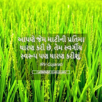Picture 05 - 1 કરિંથીઓને 15:49 GUJIRV - આપણે જેમ માટીની - Bible Verse Picture